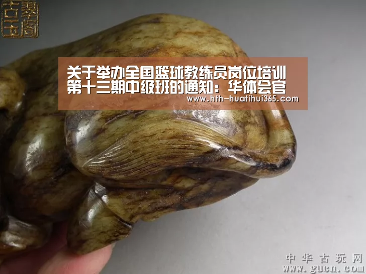关于举办全国篮球教练员岗位培训第十三期中级班的通知:华体会官网(图1) 华体会官网