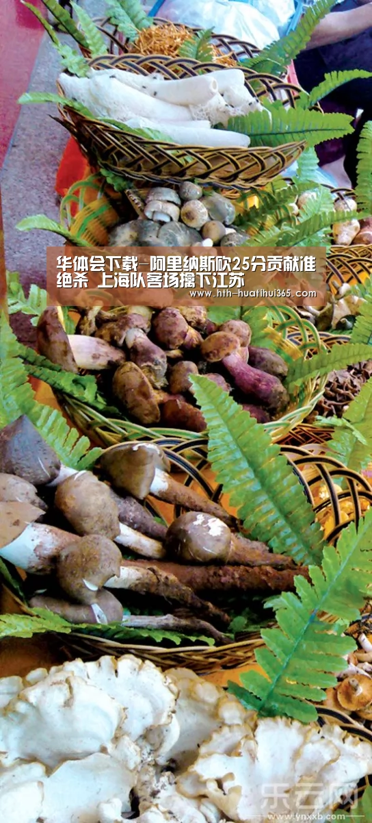 华体会下载-阿里纳斯砍25分贡献准绝杀 上海队客场擒下江苏(图4) 华体会品牌