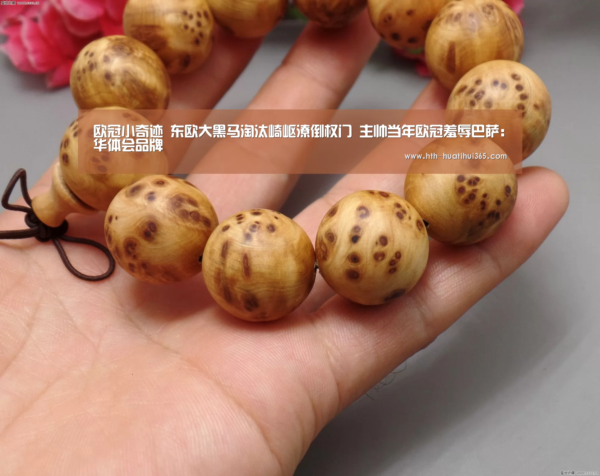 华体会下载